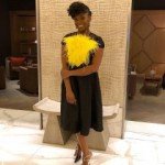 CHIMAMANDA ADICHIE THOUGHT HER BOOK ‘AMERICANAH’ WAS GOING TO TURN OUT TERRIBLE