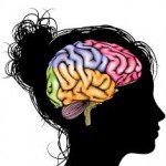 WOMEN’S BRAINS APPEAR ‘YEARS YOUNGER’ THAN MEN’S -STUDY