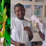 TWO GHANAIAN STUDENTS MAKE SANITARY PADS OUT OF BANANA STEMS